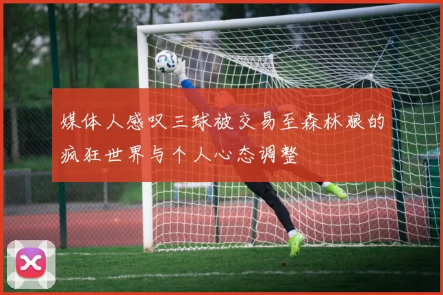 媒体人感叹三球被交易至森林狼的疯狂世界与个人心态调整
